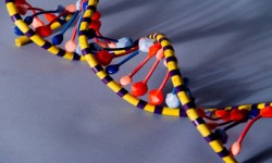 DNA افراد خلاق چه شکلی است؟!