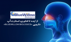 از ایده تا فناوری؛ استارت‌آپ دارویی «BlueWillow Biologics»
