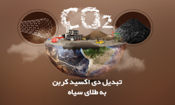 تبدیل دی اکسید کربن به طلای سیاه