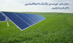 سلول‌های خورشیدی ارگانیک با انعطاف‌پذیری بالا و هزینه پایین