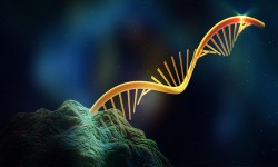 بازاری بزرگ در انتظار فناوری RNA در بخش داروسازی