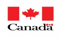 سرمایه‌گذاری ۱.۷ میلیون دلاری کانادا برای ساخت نانوجاذب نفت