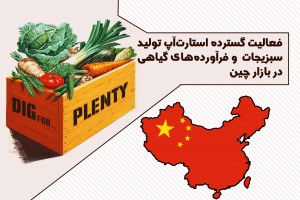 فعالیت گسترده استارت‌آپ تولید سبزیجات و فرآورده‌های گیاهی در بازار چین